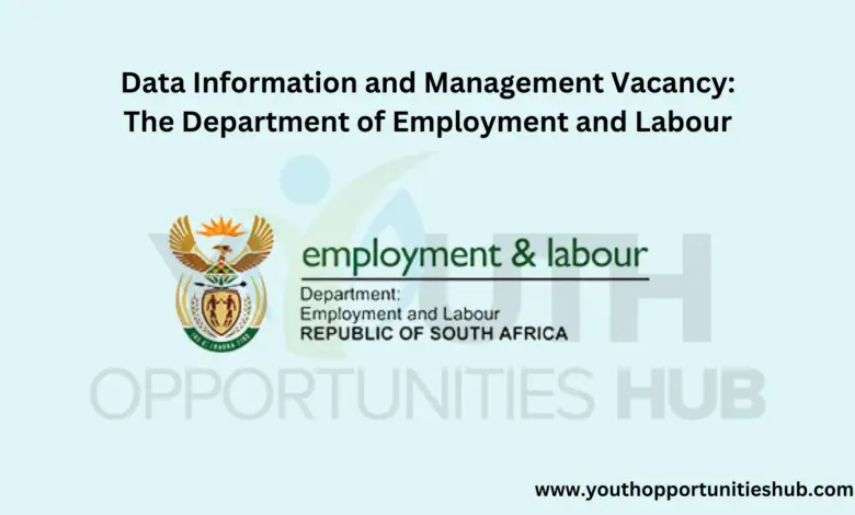 Data Information and Management Vacancy: The Department of Employment and Labour