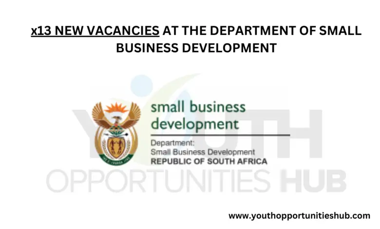 x13 NEW VACANCIES AT THE DEPARTMENT OF SMALL BUSINESS DEVELOPMENT