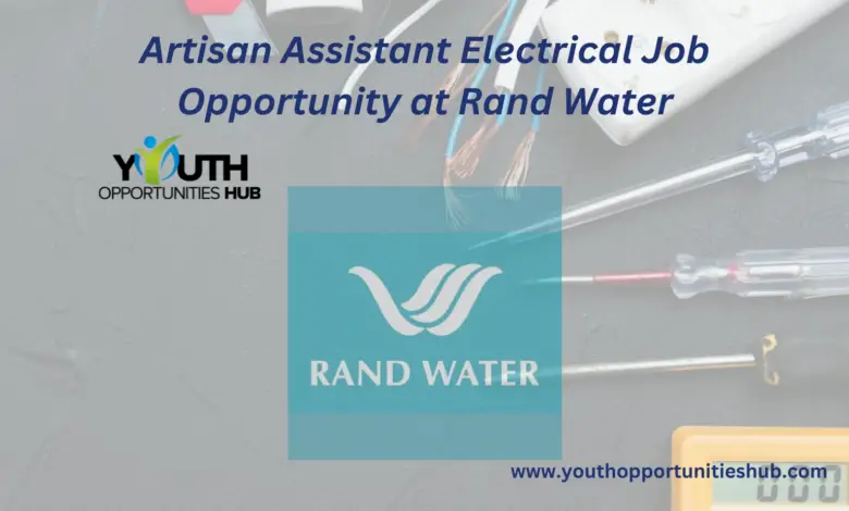 Artisan Assistant Electrical Job Opportunity at Rand Water