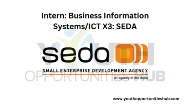Photo of Intern: Business Information Systems/ICT X3: SEDA