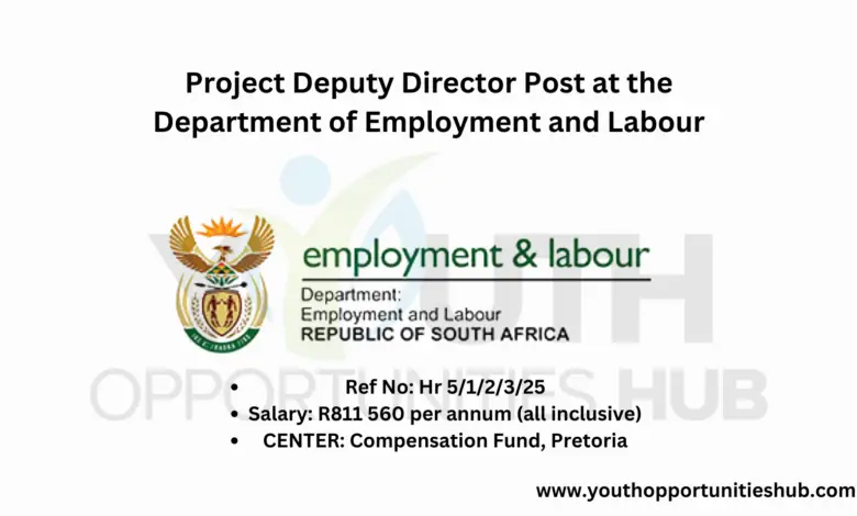 Project Deputy Director Post at the Department of Employment and Labour