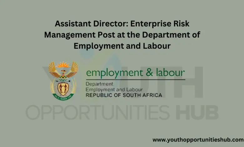Assistant Director: Enterprise Risk Management Post at the Department of Employment and Labour