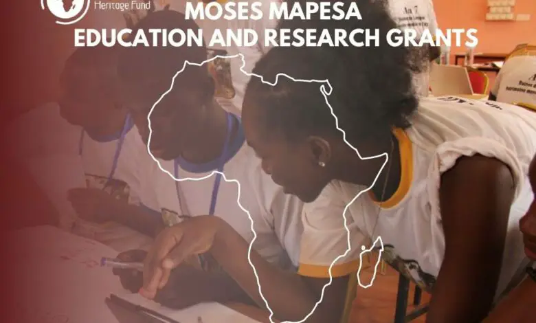 Call for Applications: Moses Mapesa Education and Research Grant