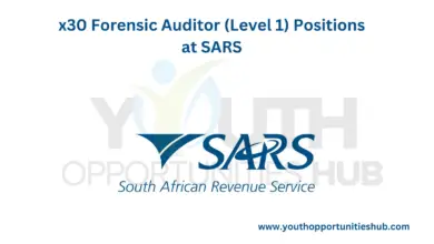 Photo of x30 Forensic Auditor (Level 1) Positions at SARS