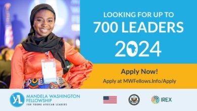 The Mandela Washington Fellowship 2024: Applications are now open