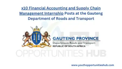 Photo of x10 Financial Accounting and Supply Chain Management Internship Posts at the Gauteng Department of Roads and Transport