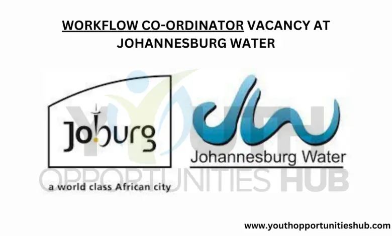 WORKFLOW CO-ORDINATOR JOHANNESBURG WATER