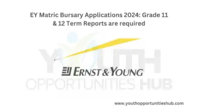 Photo of EY Matric Bursary Applications 2024: Grade 11 & 12 Term Reports are required
