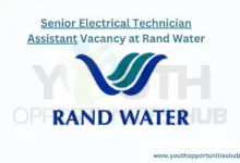 Photo of Senior Electrical Technician Assistant Vacancy at Rand Water