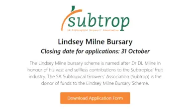 Photo of The Lindsey Milne Bursary Scheme for Young South Africans