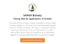 Photo of The South African Avocado Growers’ Association (SAAGA) Bursaries for Young South Africans