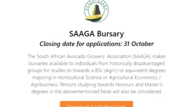 Photo of The South African Avocado Growers’ Association (SAAGA) Bursaries for Young South Africans