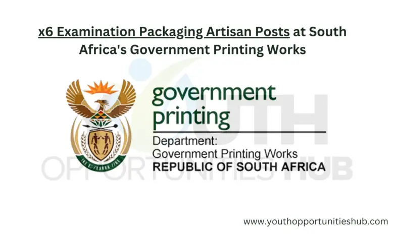 x6 Examination Packaging Artisan Posts at South Africa's Government Printing Works