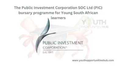 Photo of The Public Investment Corporation SOC Ltd (PIC) bursary programme for Young South African learners