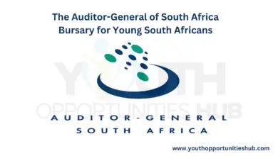 Photo of The Auditor-General of South Africa Bursary for Young South Africans