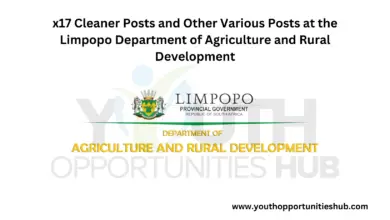 Photo of x17 Cleaner Posts and Other Various Posts at the Limpopo Department of Agriculture and Rural Development