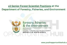 Photo of x3 Senior Forest Scientist Positions at the Department of Forestry, Fisheries, and Environment