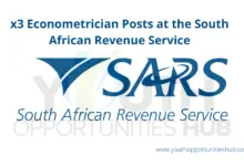 Photo of x3 Econometrician Posts at the South African Revenue Service