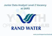 Photo of Junior Data Analyst Level 2 Vacancy at SARS