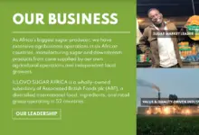 Photo of ILLOVO SUGAR (SOUTH AFRICA) TRAINEE OPPORTUNITY FOR YOUNG SOUTH AFRICANS