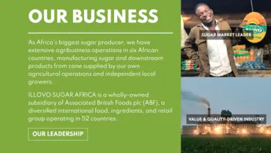 Photo of ILLOVO SUGAR (SOUTH AFRICA) TRAINEE OPPORTUNITY FOR YOUNG SOUTH AFRICANS