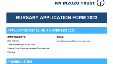 Photo of KN INZUZO invites applications for a bursary opportunity from black South African women who are in financial need 