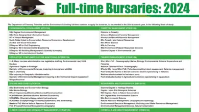 Photo of THE DEPARTMENT OF FORESTRY, FISHERIES, AND THE ENVIRONMENT BURSARIES FOR THE 2024 ACADEMIC YEAR (DFFE Bursaries)