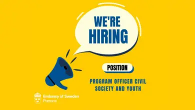 The Embassy of Sweden in Pretoria is hiring a program officer for Civil Society and Youth