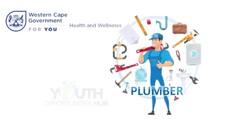 ARTISAN ASSISTANT PLUMBING VACANCY AT THE WESTERN CAPE DEPARTMENT OF HEALTH