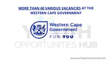 Photo of MORE THAN 60 VARIOUS VACANCIES AT THE WESTERN CAPE GOVERNMENT