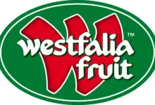 Photo of Great Opportunity for South African Youth! Westfalia Fruit Internship Programme 2023