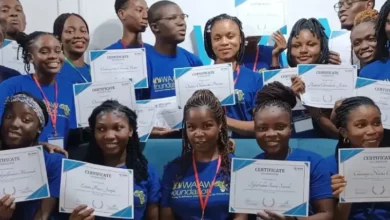 Photo of WAAW Foundation Scholarship for female college students in Africa to pursue their studies in a STEM-related course