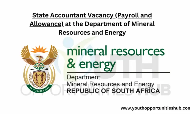 State Accountant Vacancy (Payroll and Allowance) at the Department of Mineral Resources and Energy