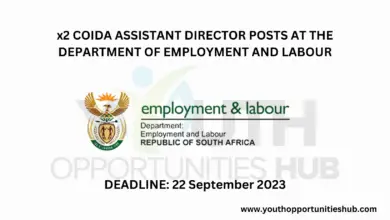 Photo of x2 COIDA ASSISTANT DIRECTOR POSTS AT THE DEPARTMENT OF EMPLOYMENT AND LABOUR