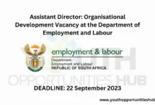 Photo of Assistant Director: Organisational Development Vacancy at the Department of Employment and Labour