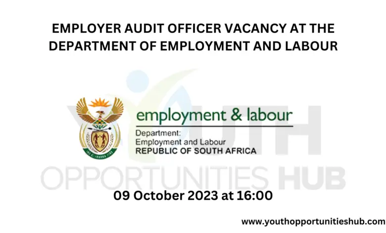 EMPLOYER AUDIT OFFICER VACANCY AT THE DEPARTMENT OF EMPLOYMENT AND LABOUR