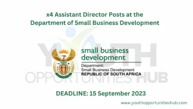 Photo of x4 Assistant Director Posts at the Department of Small Business Development
