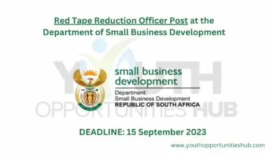 Photo of x3 Red Tape Reduction Officer Posts at the Department of Small Business Development