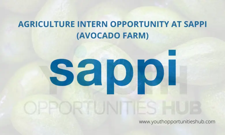 AGRICULTURE INTERN OPPORTUNITY AT SAPPI (AVOCADO FARM)
