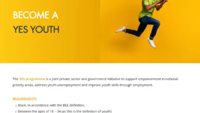 BEE YES PROGRAMME FOR YOUNG SOUTH AFRICAN CITIZENS