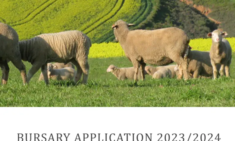 CAPE WOOLS SA BURSARY APPLICATION 2023/2024