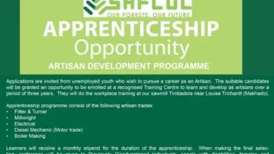 SAFCOL Apprenticeship Opportunity for Young South Africans (South African Forestry Company SOC Limited)