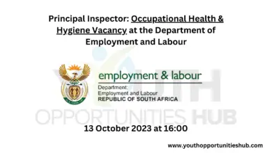 Photo of Principal Inspector: Occupational Health & Hygiene Vacancy at the Department of Employment and Labour