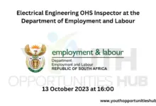 Photo of Electrical Engineering OHS Inspector at the Department of Employment and Labour