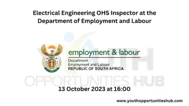 Photo of Electrical Engineering OHS Inspector at the Department of Employment and Labour