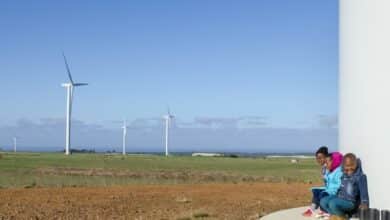 Kouga Wind Farm Bursary Programme for the 2024 academic year for Young South Africans