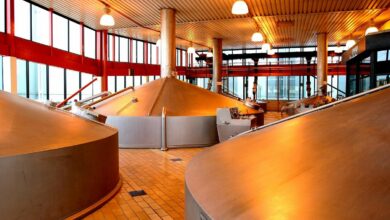 Newlands Brewery Apprentice Opportunities for Young South Africans: The South African Breweries (SAB)