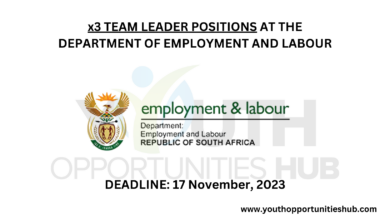 x3 TEAM LEADER POSITIONS AT THE DEPARTMENT OF EMPLOYMENT AND LABOUR