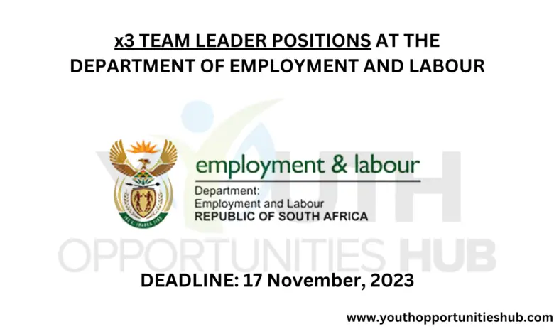 x3 TEAM LEADER POSITIONS AT THE DEPARTMENT OF EMPLOYMENT AND LABOUR