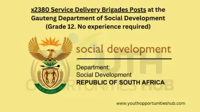 x2380 Service Delivery Brigades Posts at the Gauteng Department of Social Development (Grade 12. No experience required)